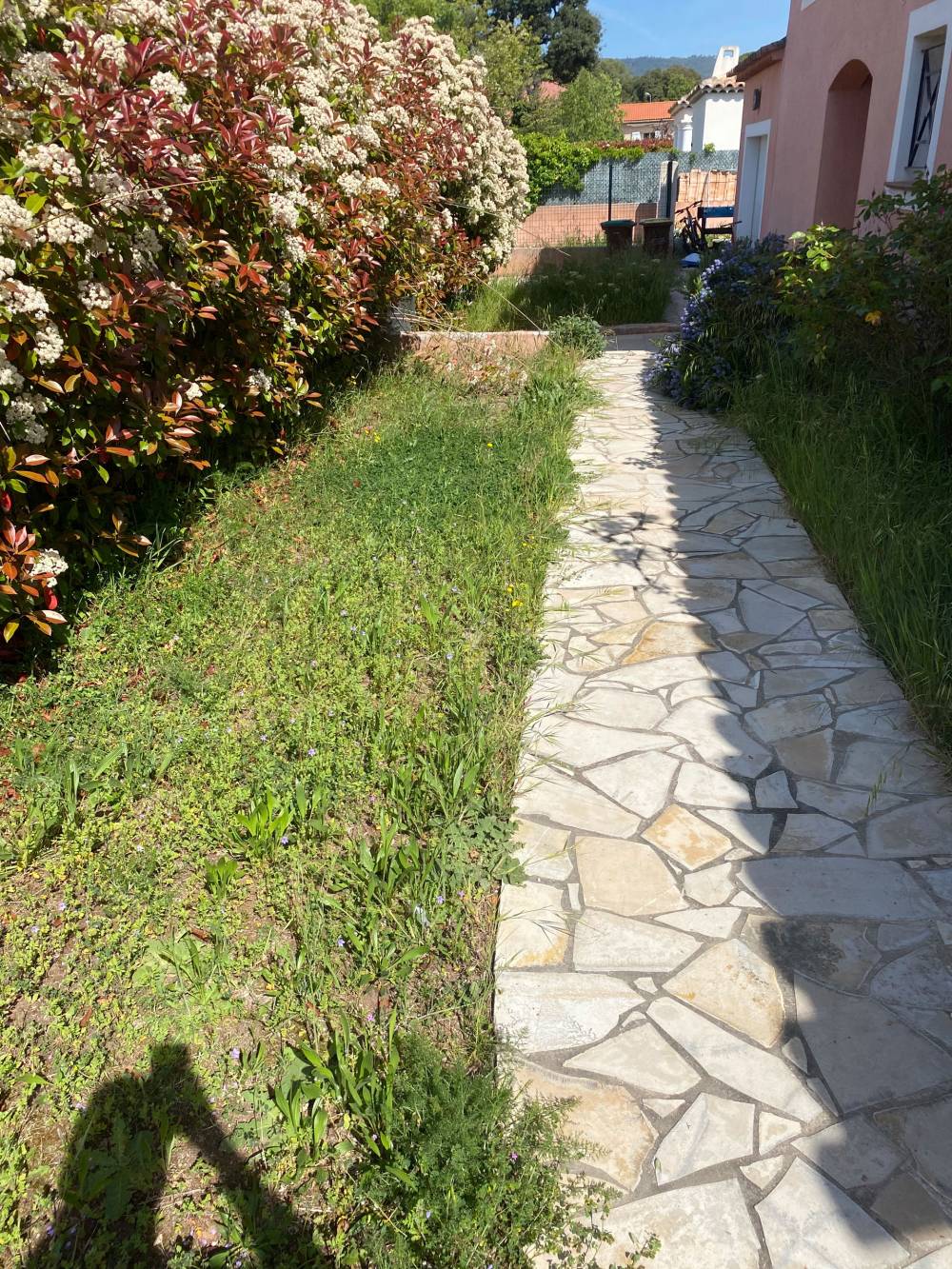 JM_ELAGAGE_crea_jardin_4_01